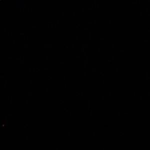 Meet your Posher, Eugenio